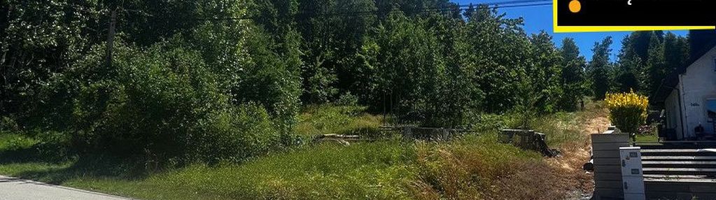 Działka leśna z potencjałem zabudowy – 5810 m²