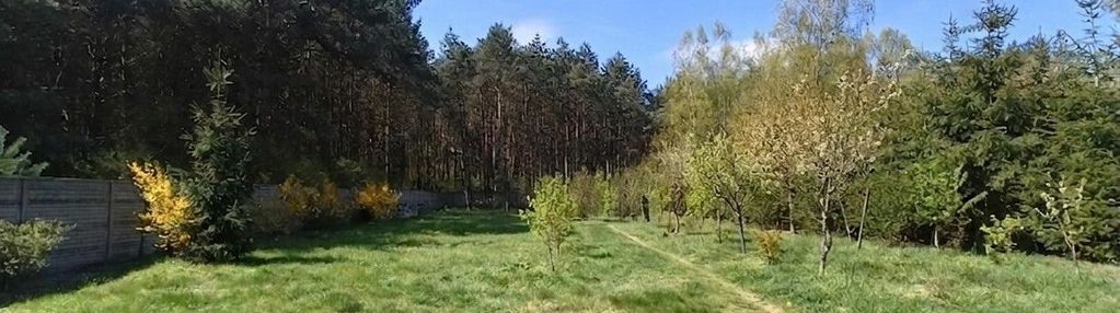 Działka budowlana ze ścianą lasu