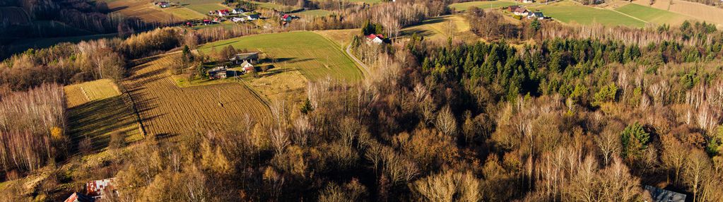 Działka leśna tuchów