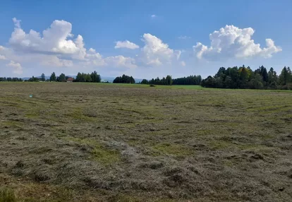 Działka na sprzedaż 3000m2