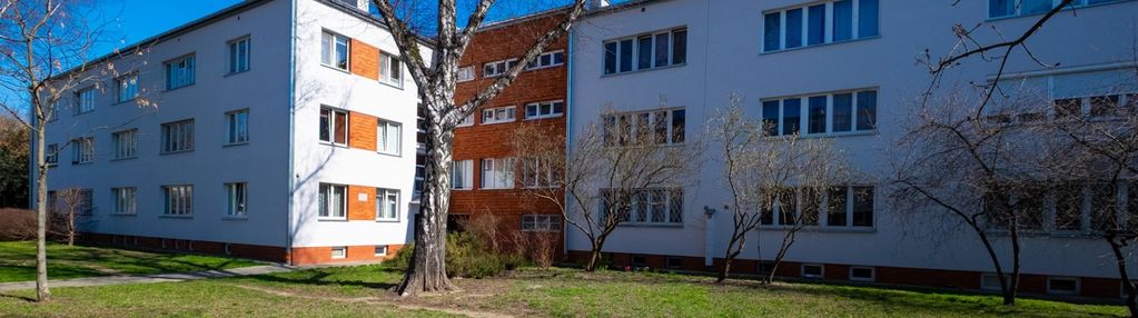 Ciche mieszkanie, zadbana kamienica - duża piwnica