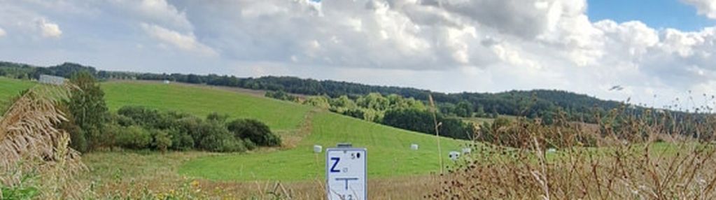 Spokojna, zielona okolica w sercu kaszub