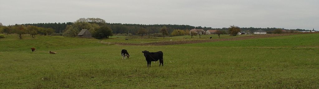 Działka budowlana 3335 m² – augustów