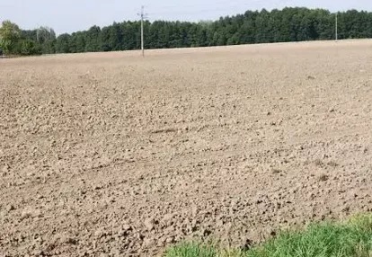 Działka na sprzedaż 2999m2