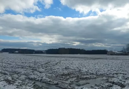 Działka na sprzedaż 3000m2