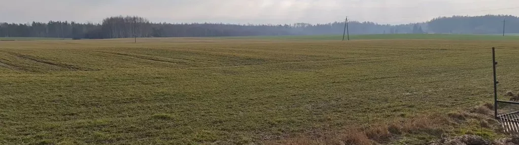 Działka na sprzedaż 1000m2