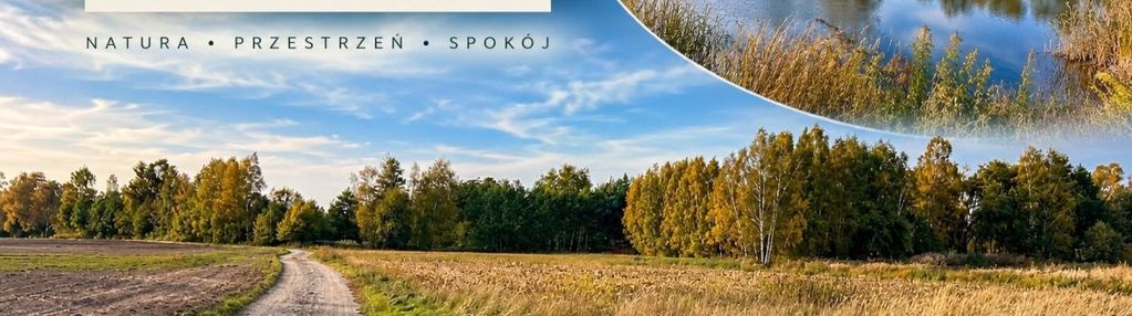 Działka rolna 71,69ar – nowa wieś, gm. domaszowice