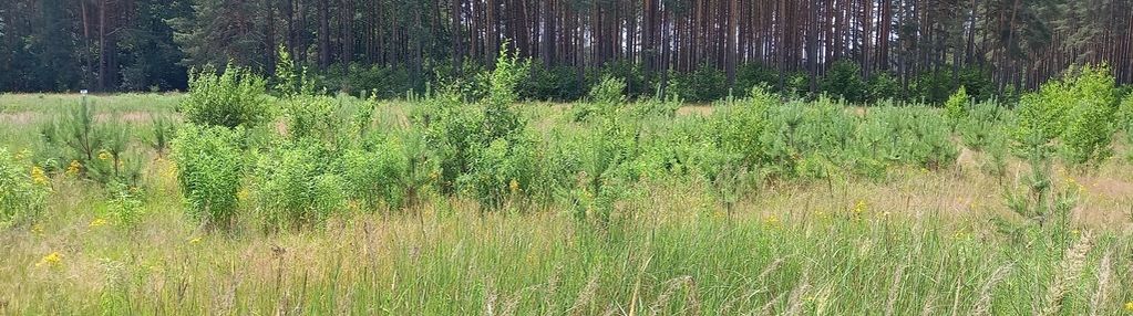 Działka gotowa do zabudowy.