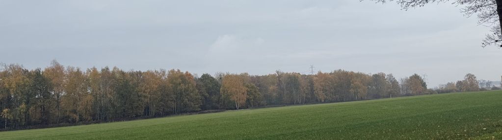 Unikalny teren inwestycyjny_skarbimierz_osiedle