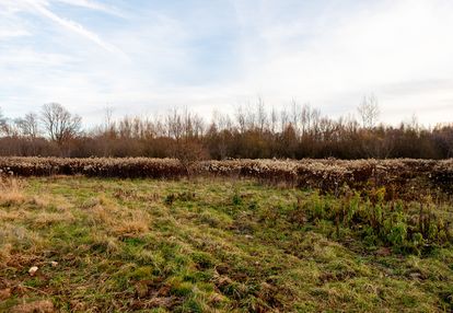 Na sprzedaż działka rolno-budowlana w łękach