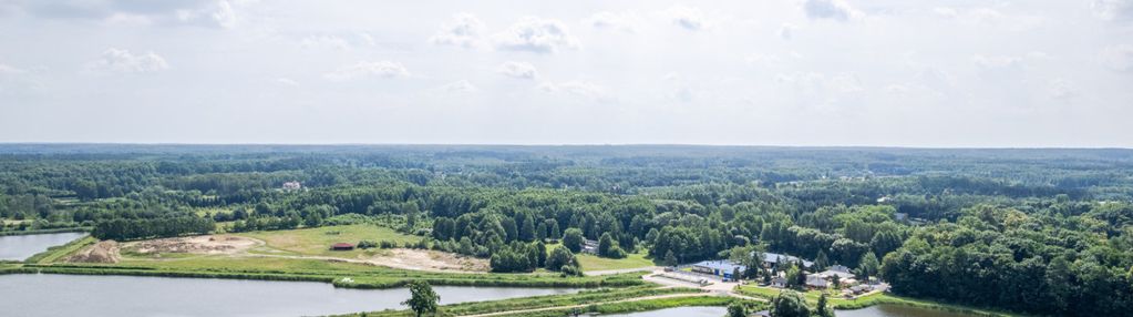 Grzegorzewice piękna okolica przy stawach