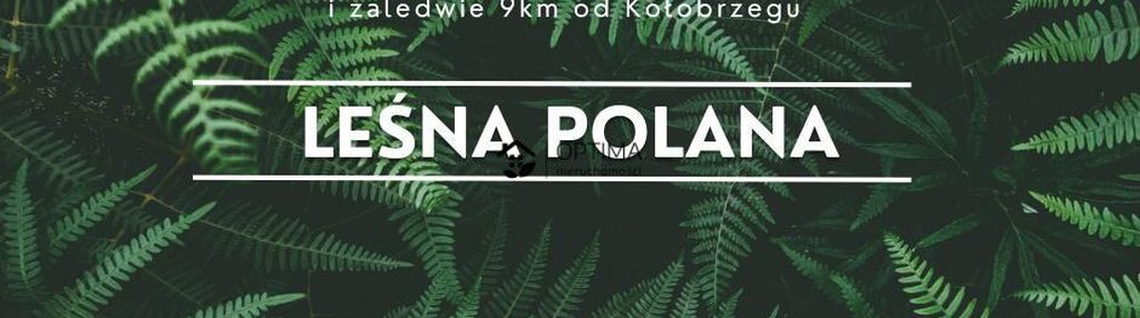 Działka z widokiem na las, obok vilpark