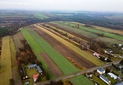 Działka przyłęk, szlachecki las 1,3 h, sprzedaż