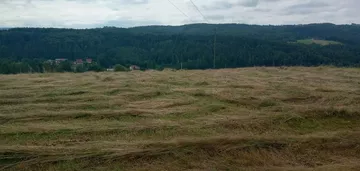 Działka na sprzedaż 1000m2