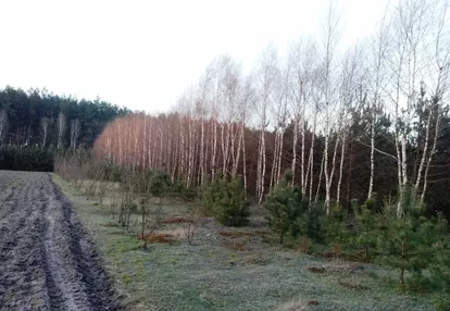 Działka na sprzedaż 2m2