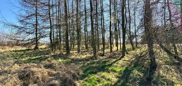 Działka budowlana 5436 m² łuków śląski