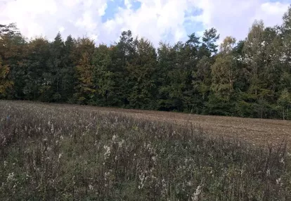 Wyjątkowa działka budowlana, granicząca z lasem