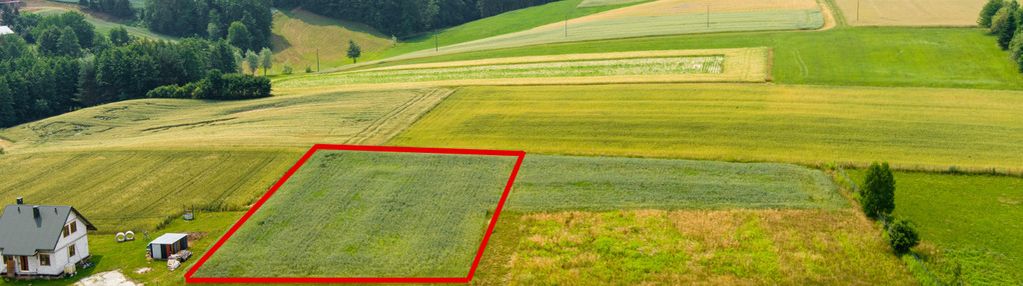 Działka budowlana siemiechów - gm. gromnik !