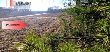 Tylko u nas! działka budowlana z młodymi brzózkami