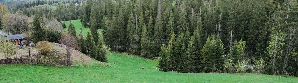 Nowa cena ! 1486m2. zakopane, cyrhla.