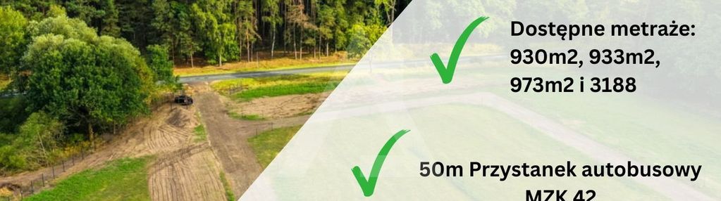 Asfalt, autobus 42, wz!