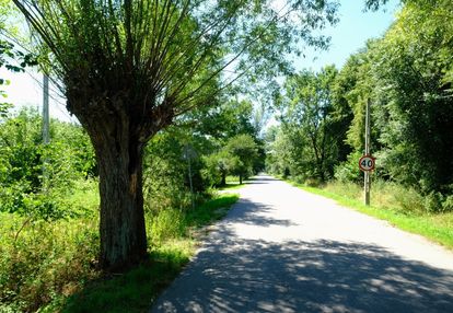 Dom tuż przy granicy kampinosu (kpn)? tak!