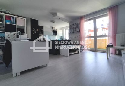 Mieszkanie na wynajem borkowo 2 pokoje 49,50 m2