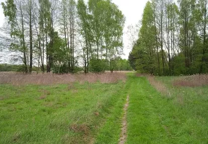 Działka budowlana KRUBICZEW koło - Leoncin