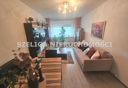 Okoice sośnicowic, garaż