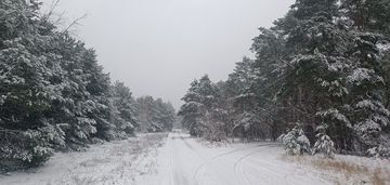 Cicha, piękna działka w falenicy