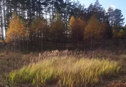 Działka na sprzedaż 1000m2