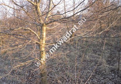 Spokojnie # rodzinnie # pięknie