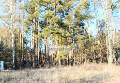 Działka budowlana w pięknej okolicy
