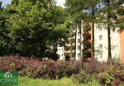 4 pokoje na 1 piętrze w dz. czechów dolny