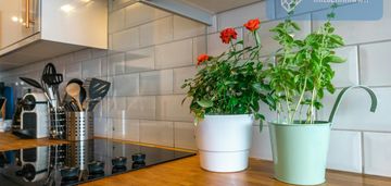 Atrakcyjne studio w top lokalizacji| brak prowizji