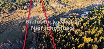 Działka rolno - leśna pow. 1,72ha