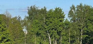 Idealna działka pod inwestycje w sercu zebrzydowic