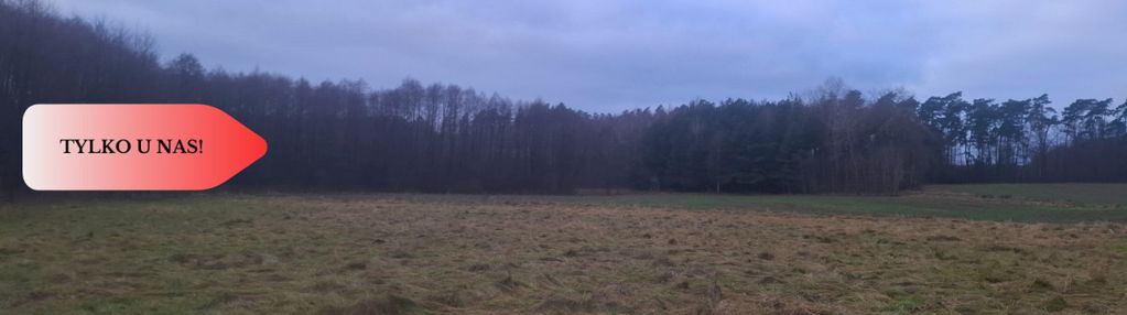 Tylko u nas !!! atrakcyjna działka blisko lasu