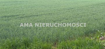 Atrakakcyjna działka pod płockiem, wz