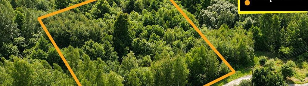 Leśna oaza spokoju – duża działka budowlana 4 460