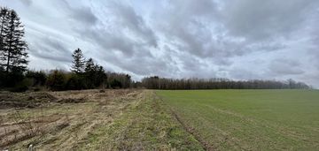 Działka przy lesie więckowy i skarszewy