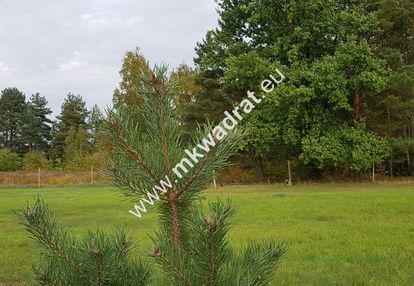 Urokliwa działka przy lesie dom 2 -lokalowy