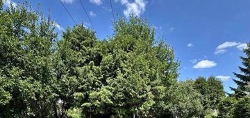 Klimatycznya działka rod