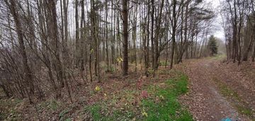 Duża działka leśna