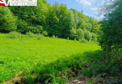 Działka przy lesie, atrakcyjna lokalizacja