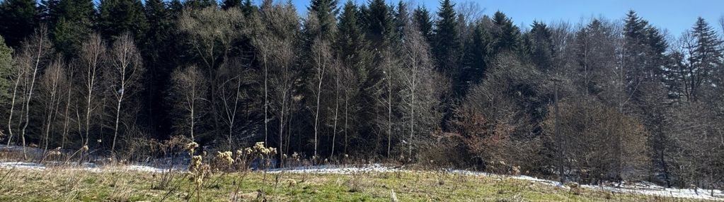 Duża działka na granicy z sączem w januszowej