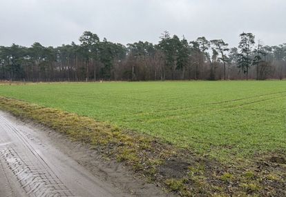 Działka 2162 m² pod dom przy lesie | wz |