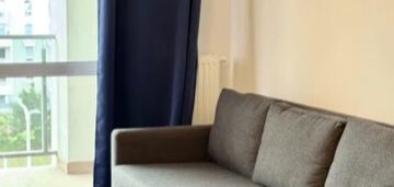 Kawalerka na włochach