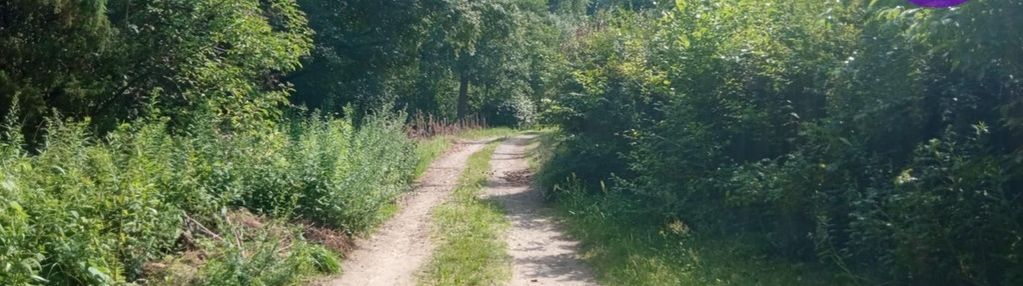 Atrakcyjna działka przy lesie