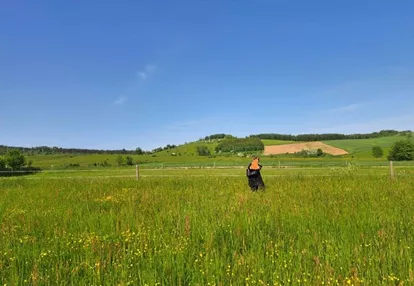 Działka Budowlana Duża Piękne Widoki Wojbórz